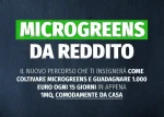 Microgreens da Reddito (Premium) – Rendita Agricola