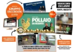 Pollaio da Reddito - Rendita Agricola