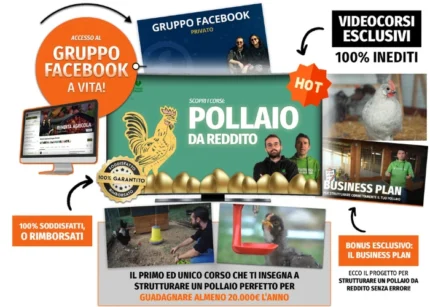 Pollaio da Reddito - Rendita Agricola