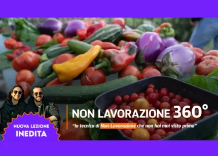 Orto Eterno: Non Lavorazione 360° – Rendita Agricola