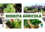 Rendita Agricola – Ecosystem BSC