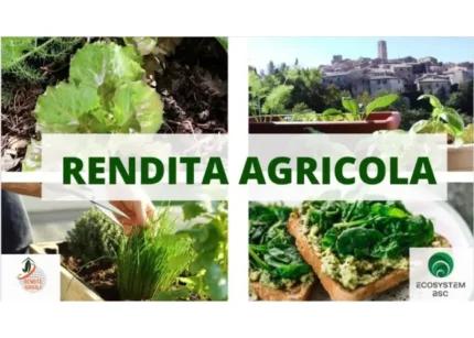 Rendita Agricola – Ecosystem BSC
