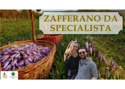Zafferano Da Specialista – Rendita Agricola