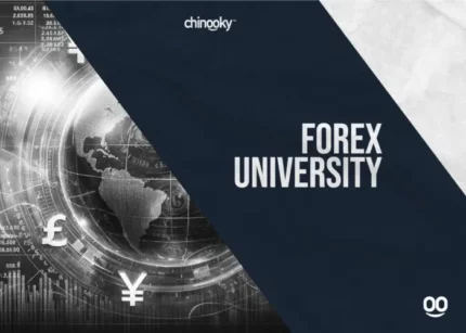 Chinooky Forex University - Chinooky
