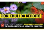 Fiori Eduli da reddito MASTER – Rendita Agricola