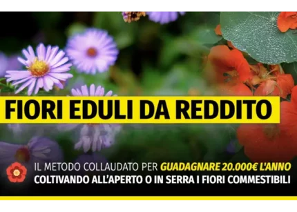 Fiori Eduli da reddito MASTER – Rendita Agricola