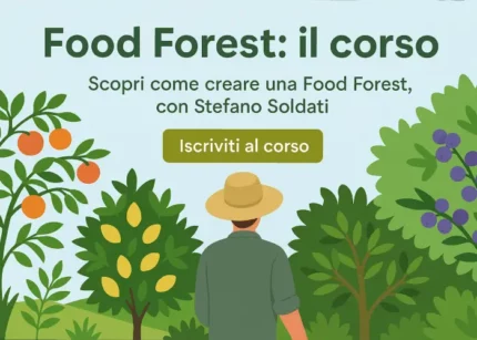 Food Forest – Bosco di Ogigia
