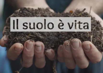 Il Suolo è Vita – Bosco di Ogigia