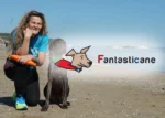 Il metodo - Fantasticane