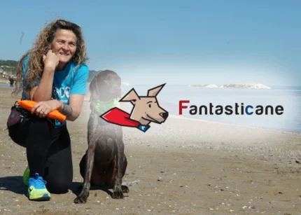 Il metodo - Fantasticane