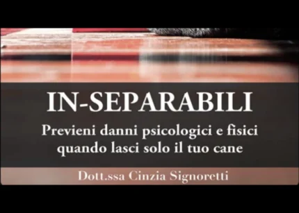 In-Separabili – Fantasticane