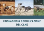 Linguaggio e Comunicazione del Cane - Educazione Cinofila