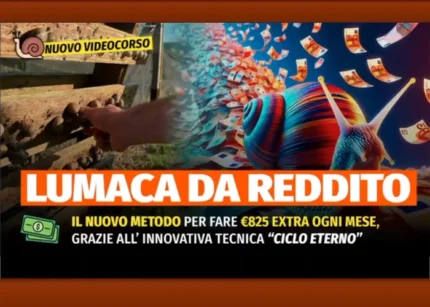 Lumaca da Reddito - Rendita Agricola
