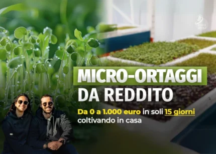 Micro-Ortaggi da Reddito - Rendita Agricola