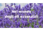 Nel mondo degli oli essenziali – Bosco di Ogigia
