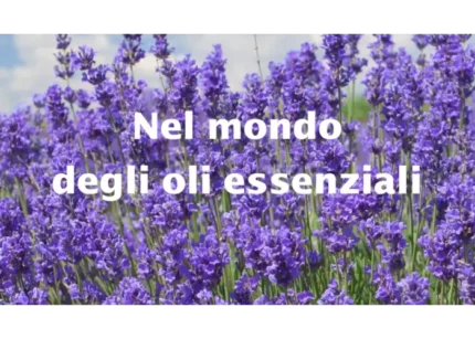 Nel mondo degli oli essenziali – Bosco di Ogigia