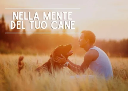 Nella Mente del tuo Cane - Educazione Cinofila