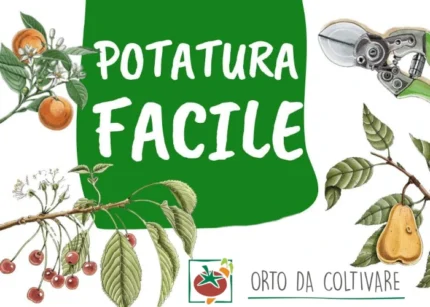 Potatura Facile - Orto da Coltivare