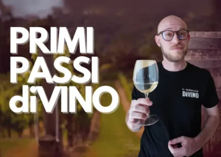 Primi Passi di Vino - Il Sommelier Divino