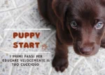 Puppy Start – Educazione Cinofila