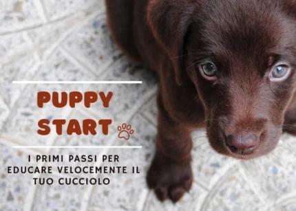 Puppy Start – Educazione Cinofila