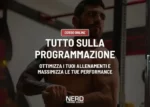 Tutto sulla Programmazione – Filippo d’Albero