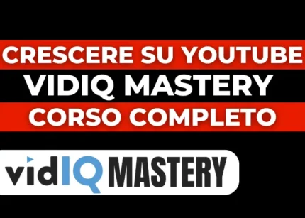 VidIQ Mastery - Mirko Delfino